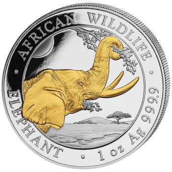 Münze: Somalia African Wildlife Elefant 2023